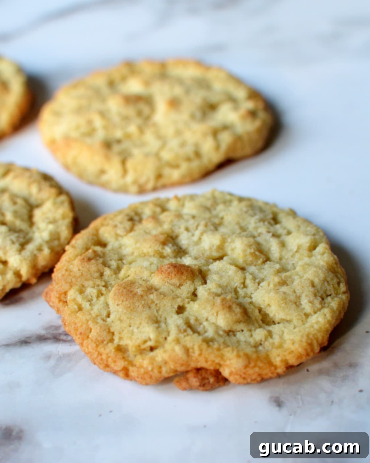 A close-up shot of a single coconut flour oatmeal cookie, showing its texture and golden edges.