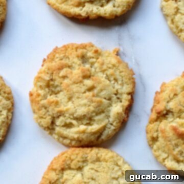 coconut flour oatmeal cookies
