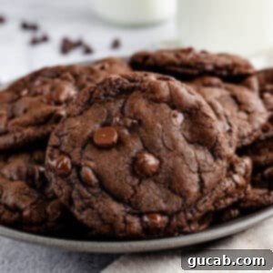 A plate of perfectly baked triple chocolate cookies, ready to be enjoyed.