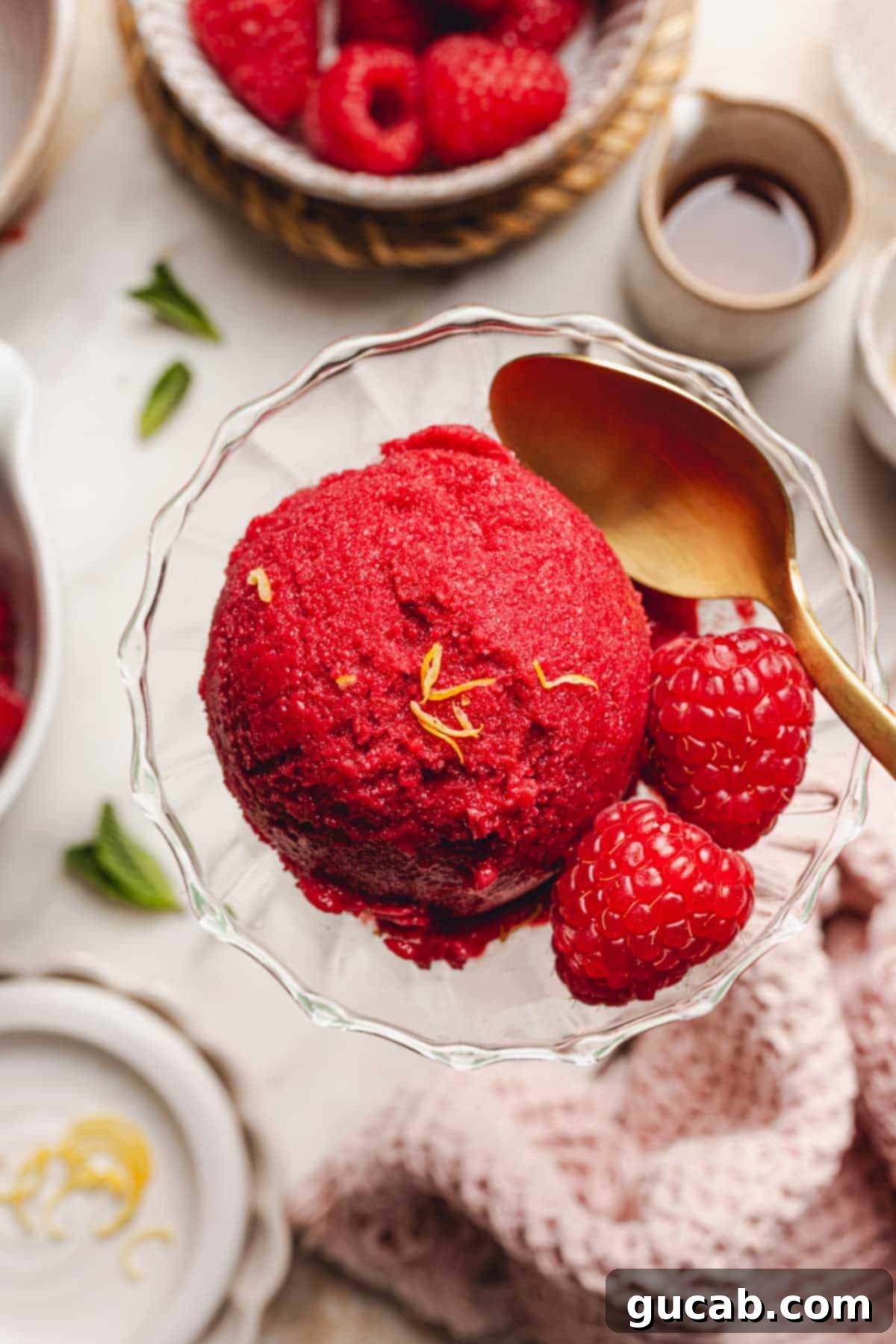 A cup of freshly made raspberry sorbet garnished with fresh raspberries.