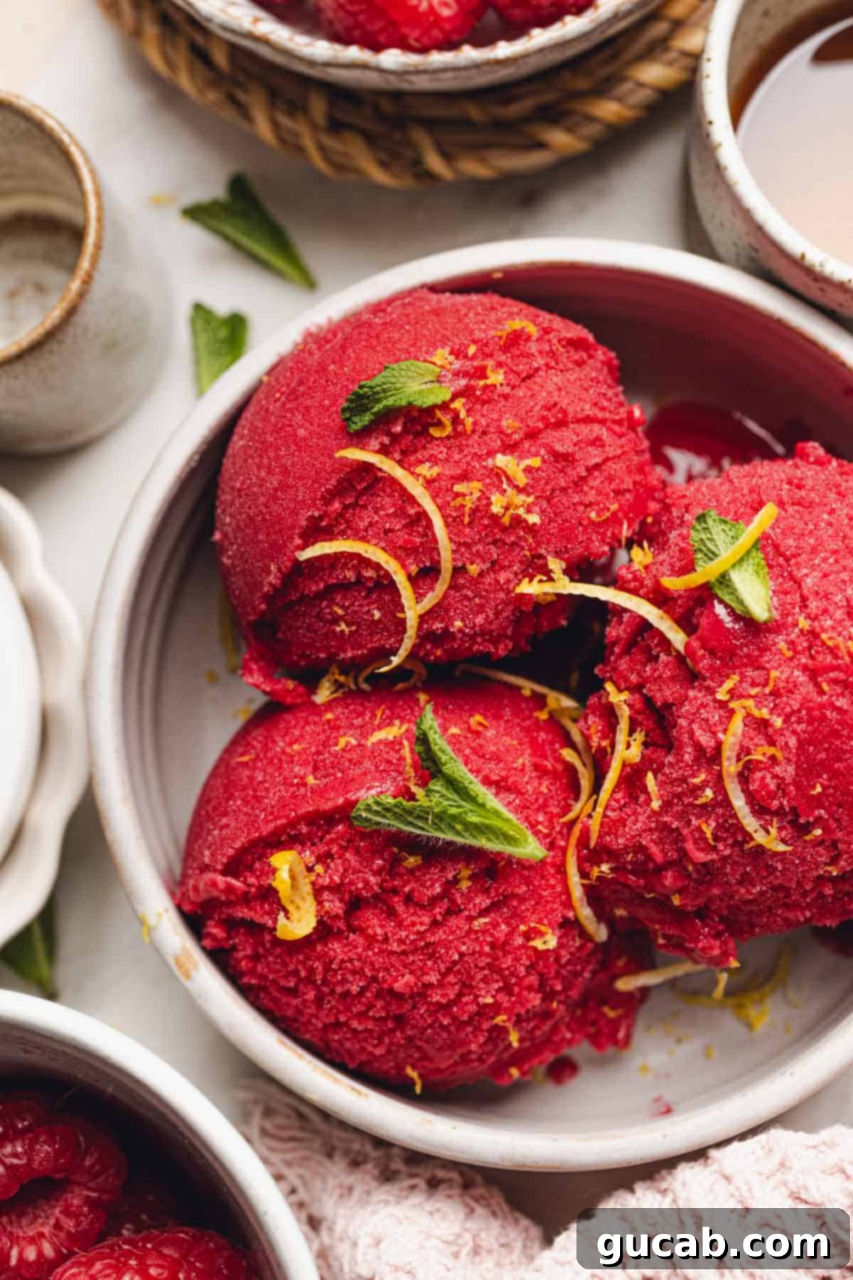 A beautiful bowl with three scoops of raspberry sorbet, ready to be enjoyed.