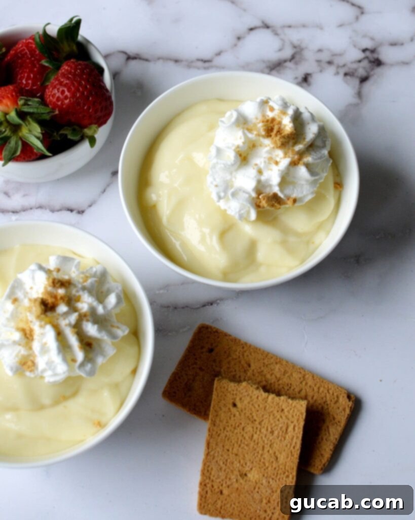 Creamy Gluten-Free Vanilla Pudding 3 Two elegant glass bowls showcasing smooth, perfectly chilled homemade vanilla pudding, ready for a garnish or a spoon.