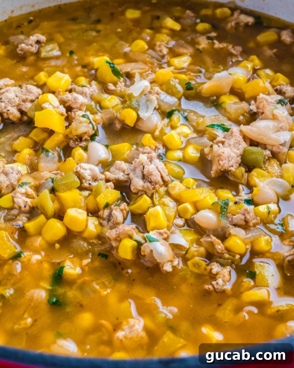 Creamy White Ground Chicken Chili 4 A close-up view of the creamy white ground chicken chili in a bowl, showing its rich texture and a few corn kernels.