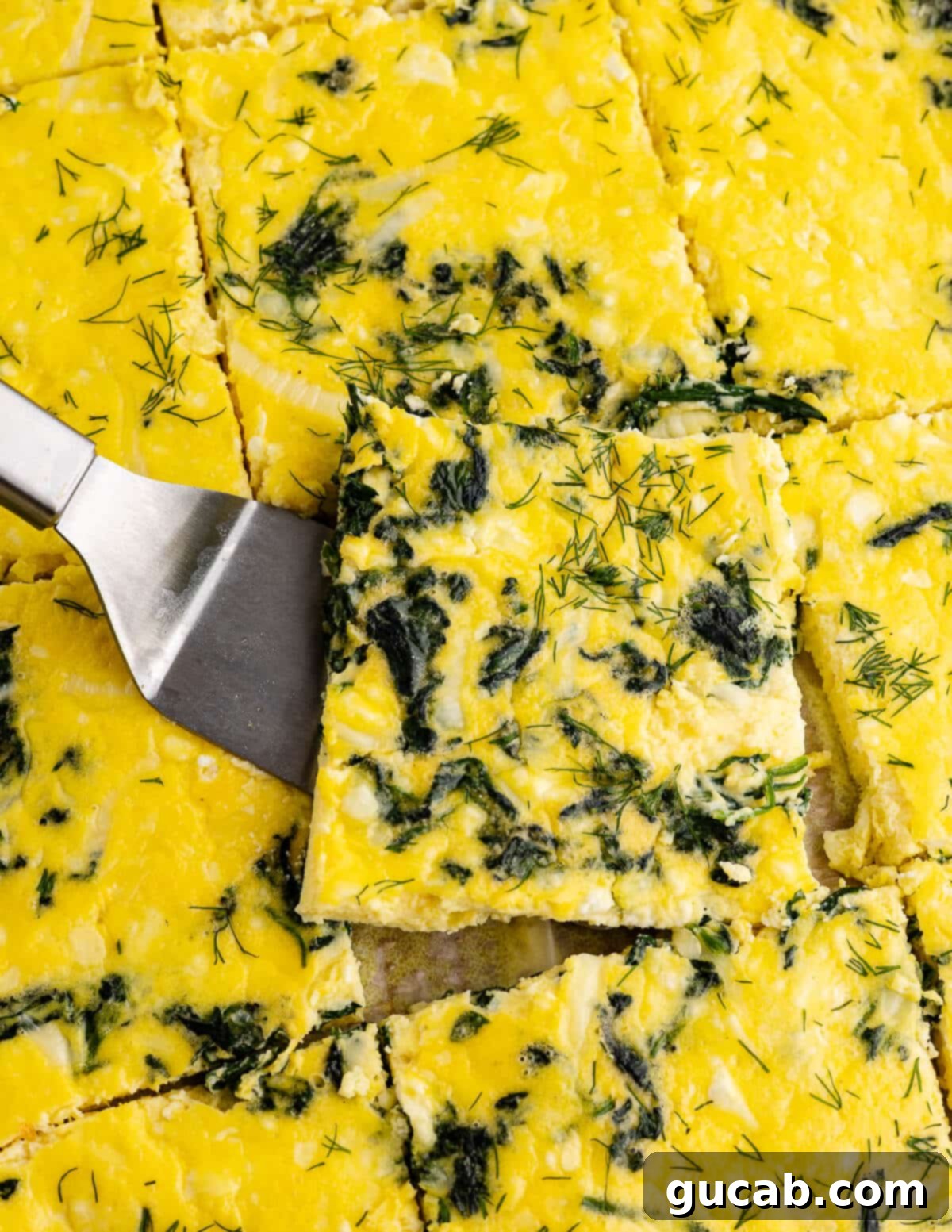 metal spatula holding a baked egg square with spinach and dill. 