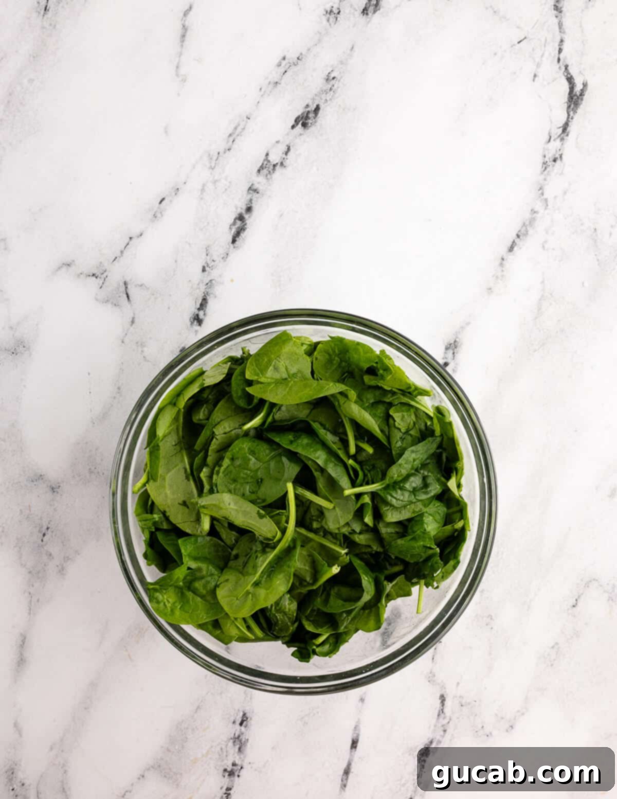 a bowl of baby spinach.