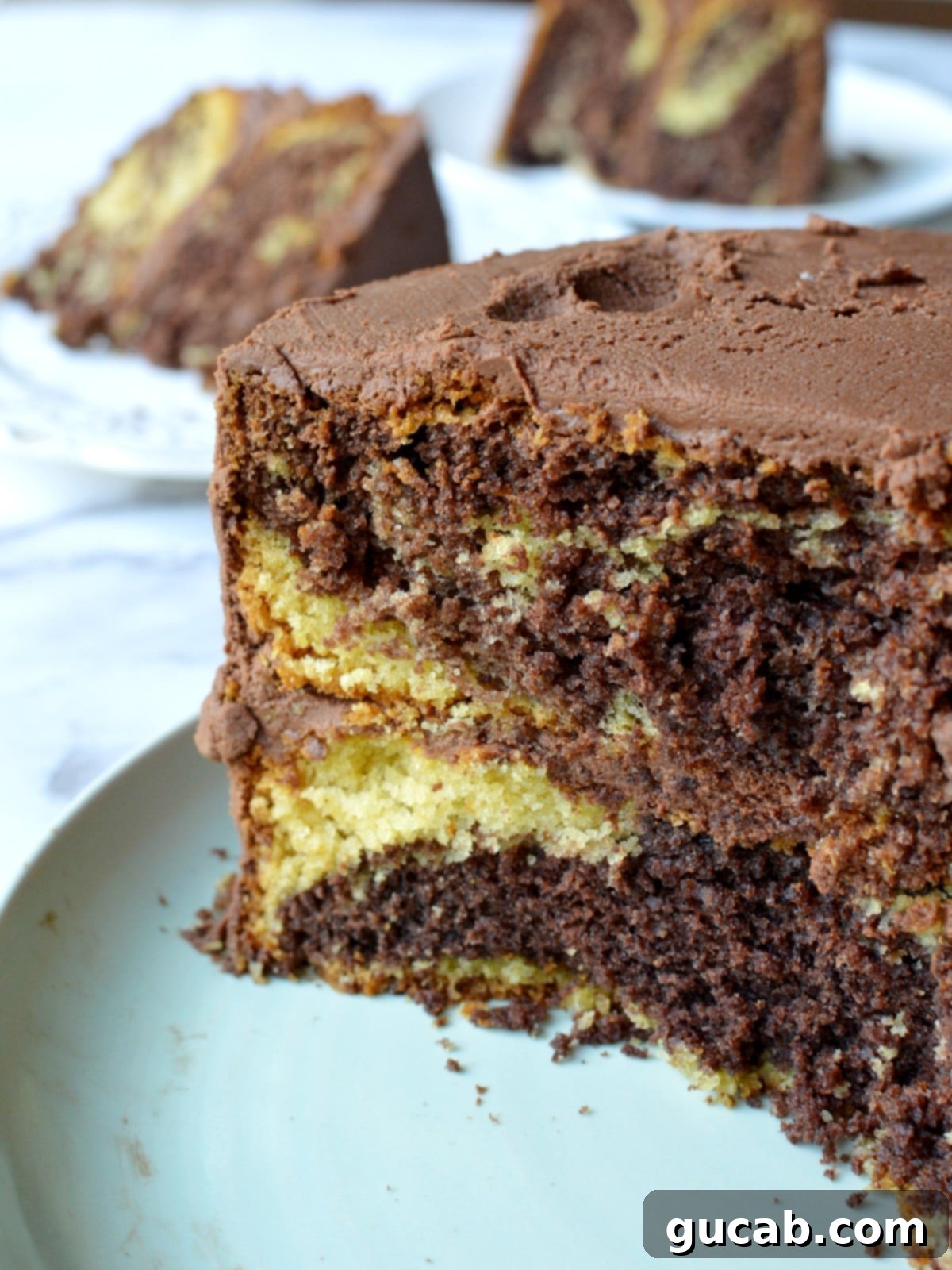 Gluten free marble cake with chocolate frosting