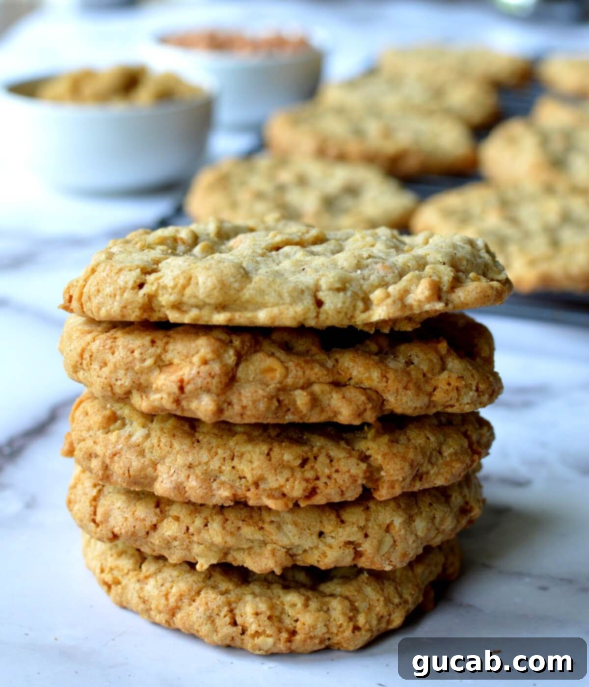 a stack of gluten free oatmeal scotchies