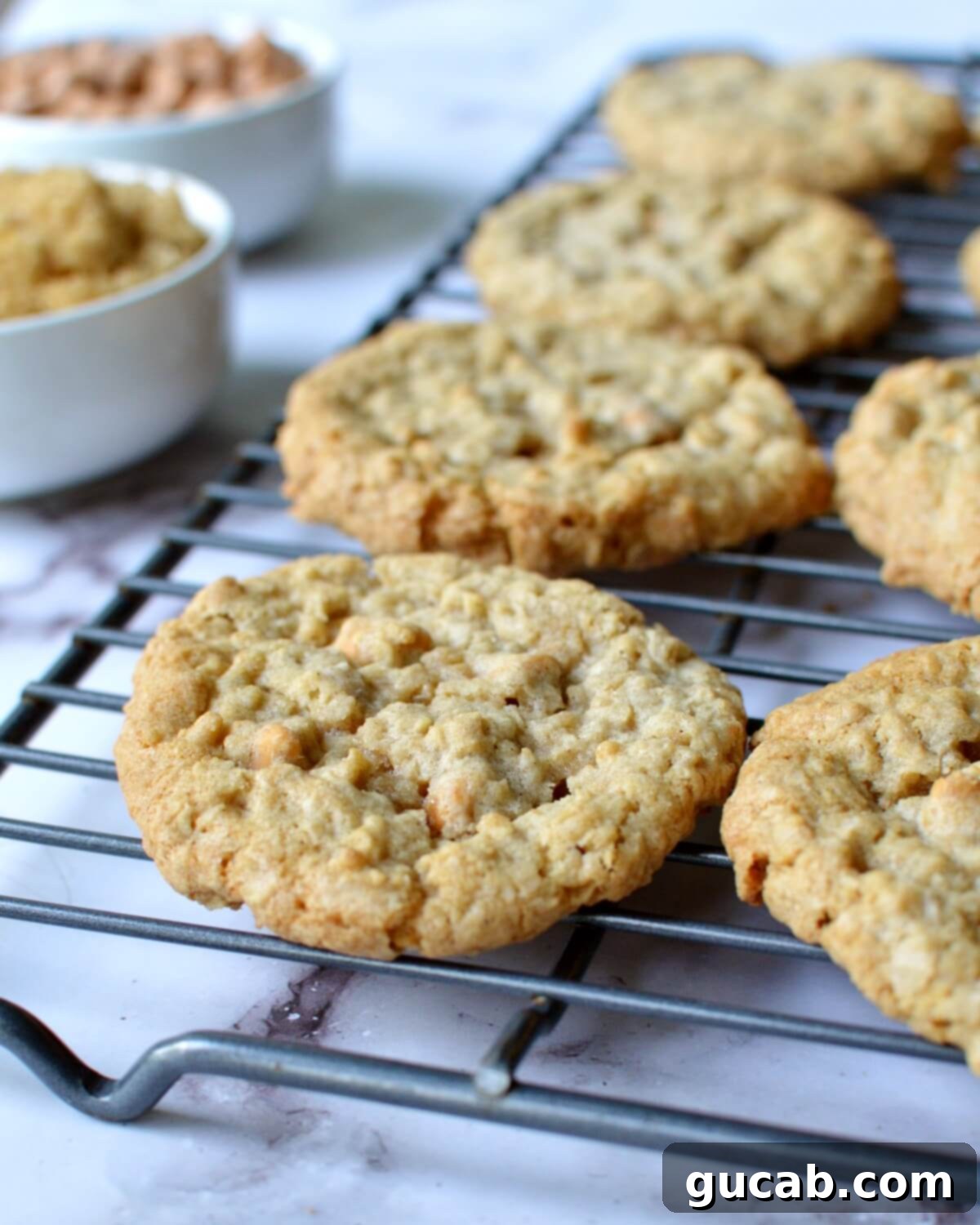 gluten free oatmeal scotchies