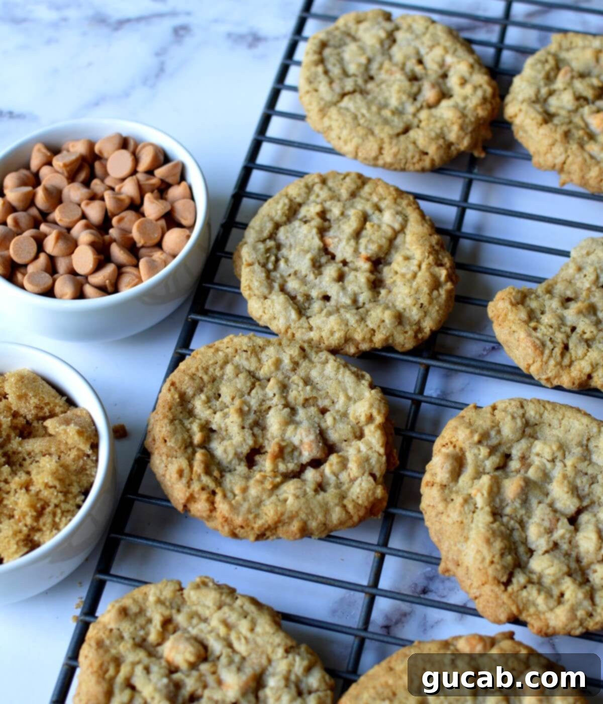 gluten free oatmeal cookies