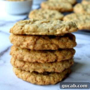 gluten free oatmeal cookies