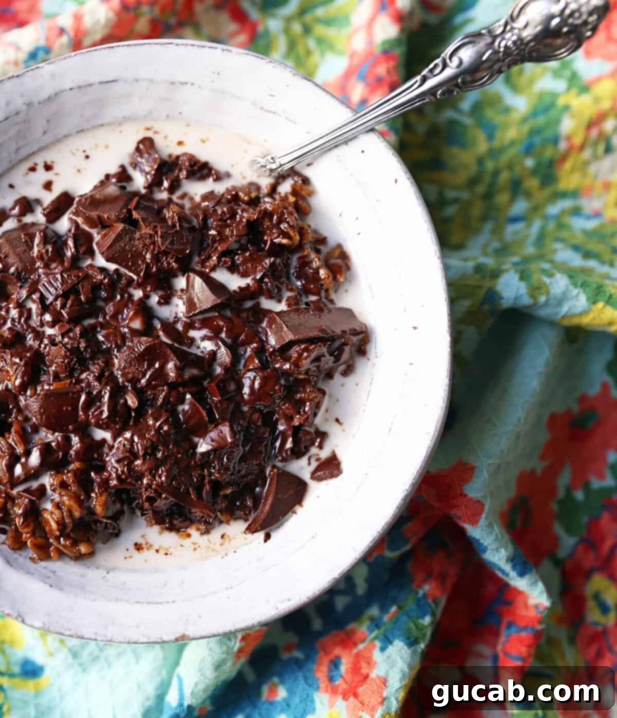 An inviting bowl of rich chocolate oatmeal, promising an indulgent yet satisfying breakfast experience.