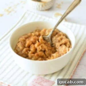 A comforting bowl of classic homemade oatmeal, served warm and ready to be customized with your favorite toppings.