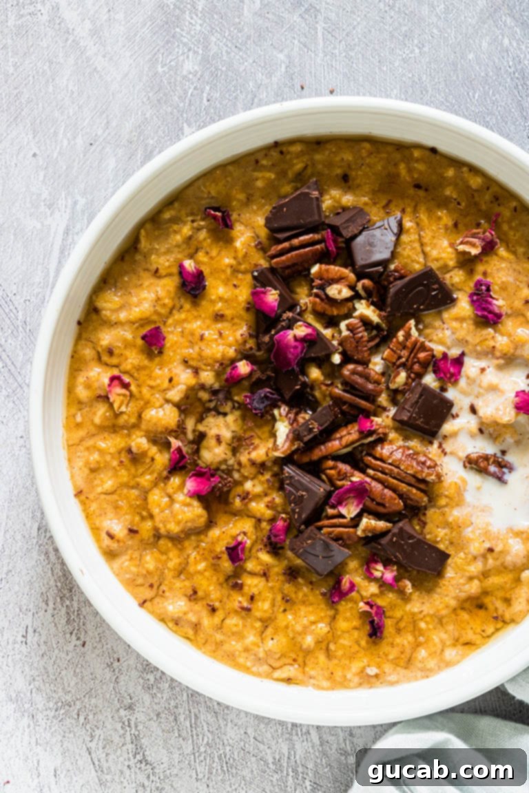 A bowl of pumpkin oatmeal, beautifully garnished with crunchy pecans and rich dark chocolate pieces, evoking the cozy flavors of autumn.