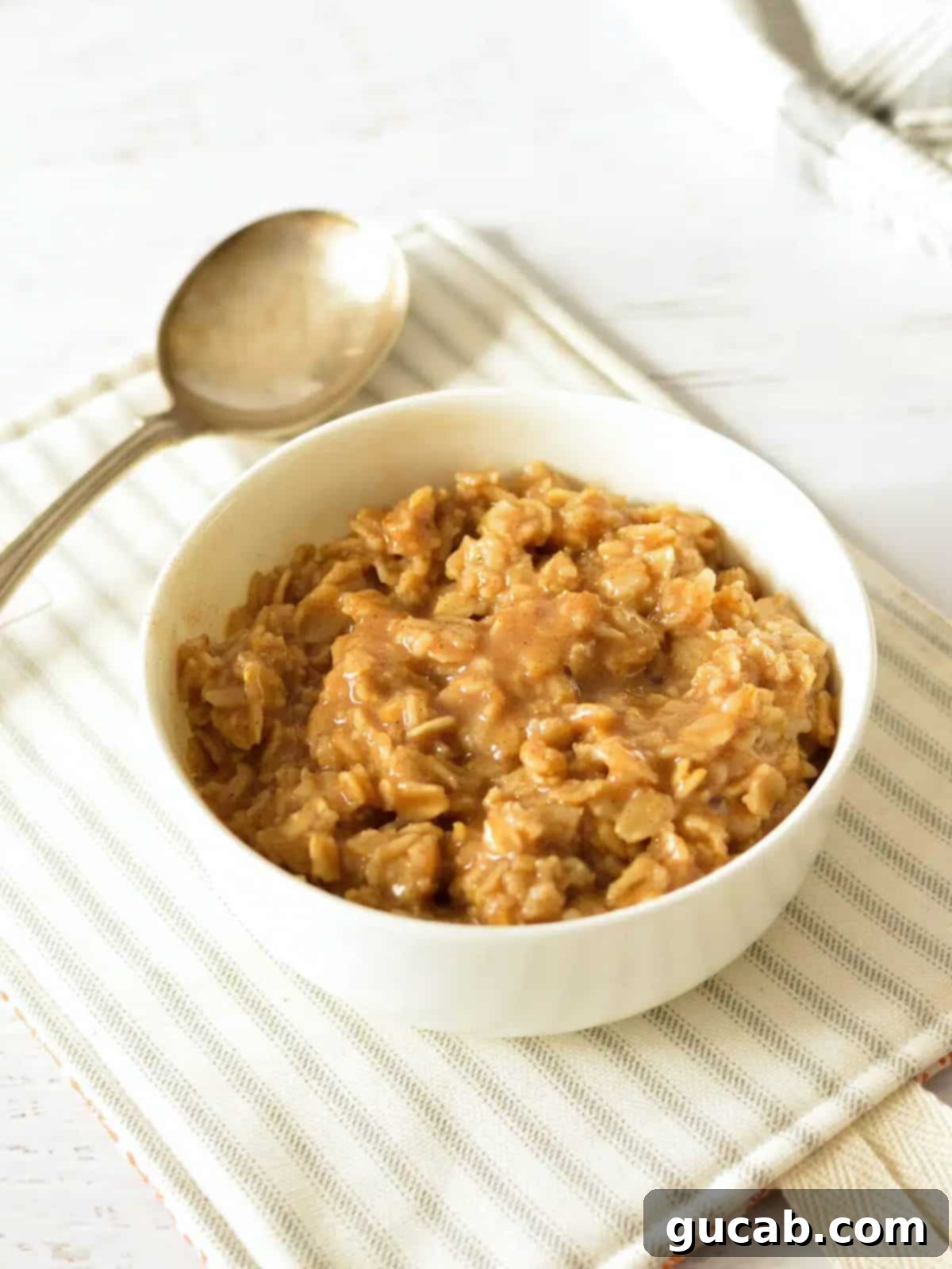 A simple yet inviting bowl of brown sugar cinnamon oatmeal, showing a warm and comforting texture with a swirl of spice.