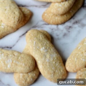 Gluten-Free Ladyfingers, lightly golden and ready to use