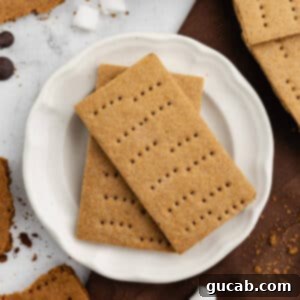 Golden Gluten-Free Graham Delights 17 a plate of two graham crackers
