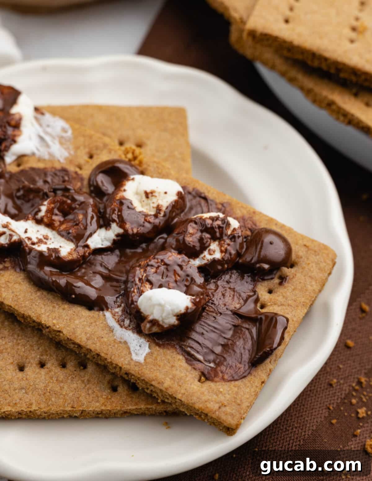 Golden Gluten-Free Graham Delights 4 gluten free graham crackers with melted chocolate and marshmallows on top, ready for s'mores.