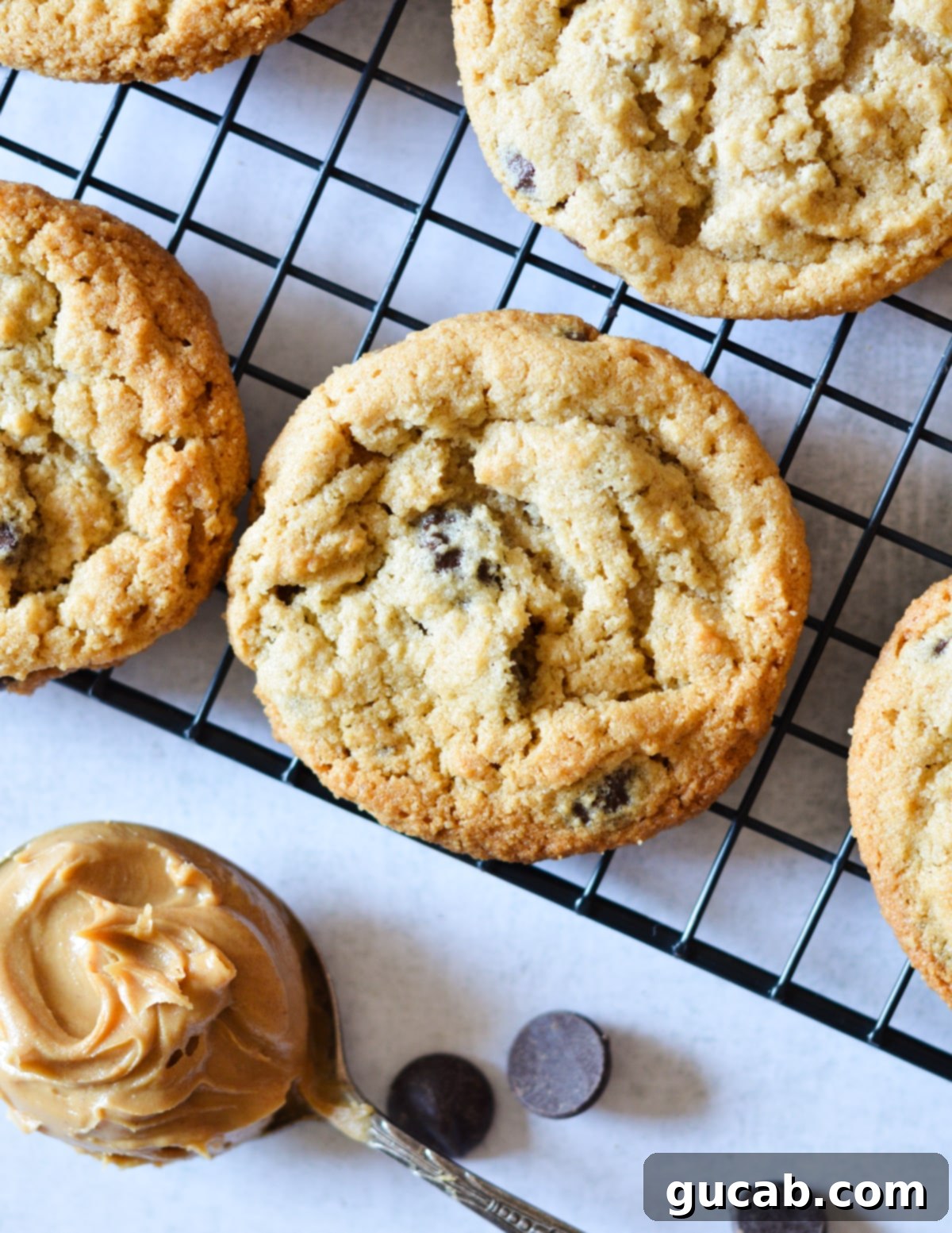 Chewy Almond Flour Peanut Butter Cookies 2 Freshly baked almond flour peanut butter chocolate chip cookies cooling on a wire rack.