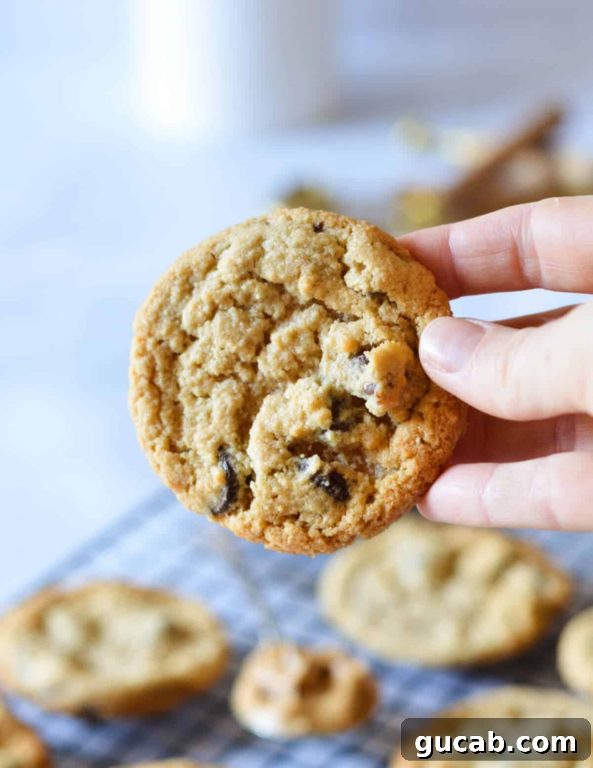 A hand holding a single, perfect almond flour peanut butter cookie, showcasing its texture and the melty chocolate chips.