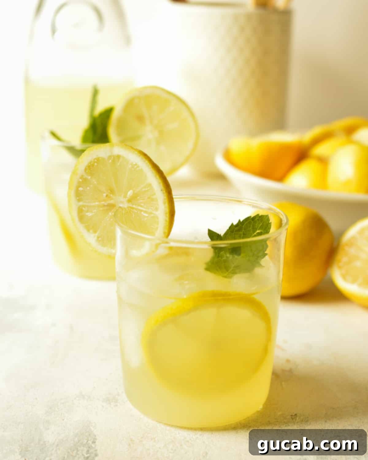 a cup of agave lemonade with mint