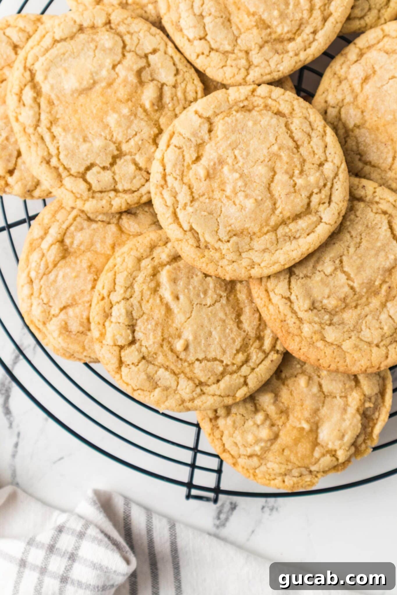Golden Cornmeal Delights 2 A beautifully baked cornmeal cookie with a golden-brown edge and soft center.