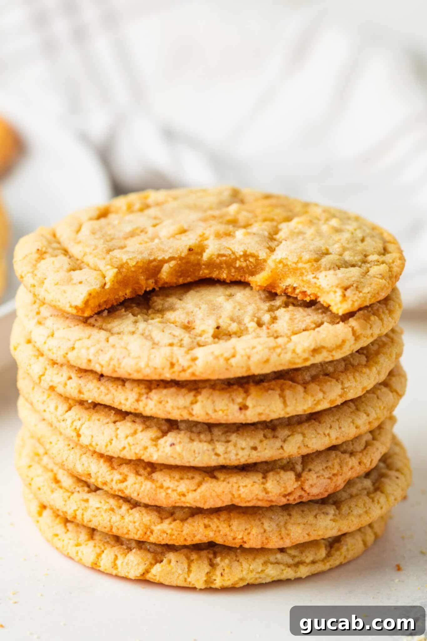 A perfectly baked cornmeal cookie, showcasing its chewy texture, golden edges, and soft center, ready to be enjoyed.