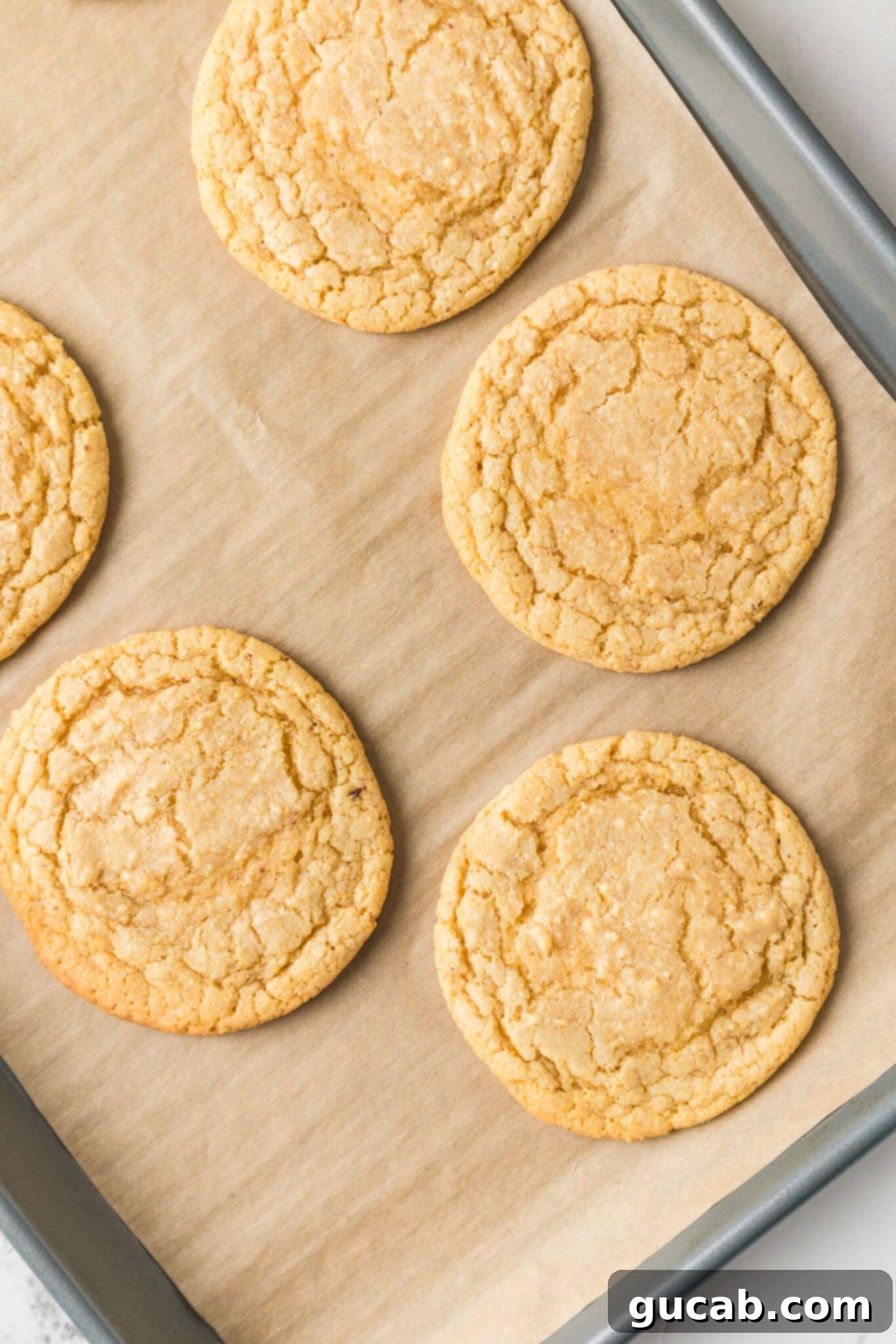 Freshly scooped cornmeal cookie dough balls arranged neatly on a parchment-lined baking sheet, ready for the oven.