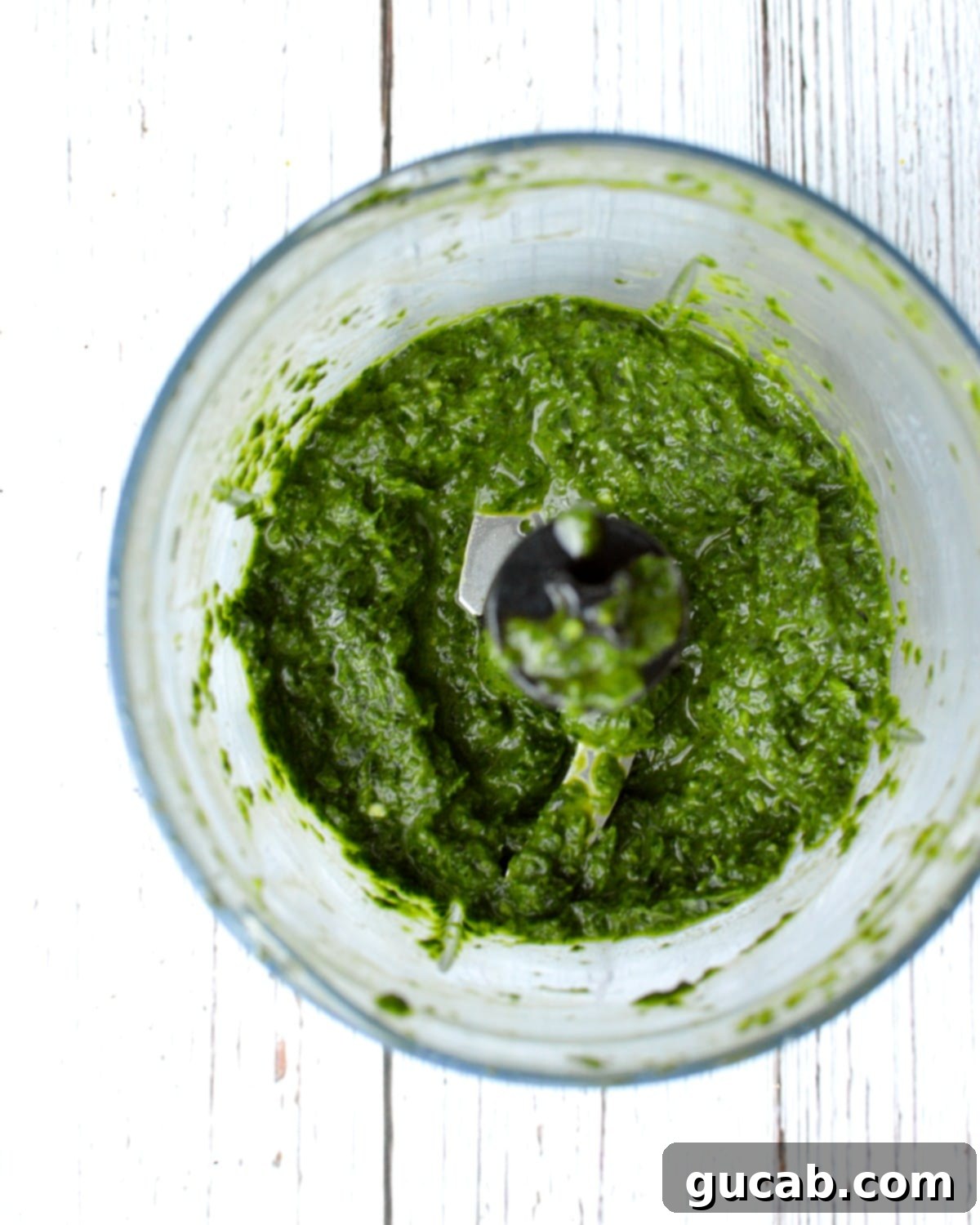 Vibrant Basil Chimichurri 4 basil chimichurri