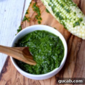 Vibrant Basil Chimichurri 5 basil chimichurri