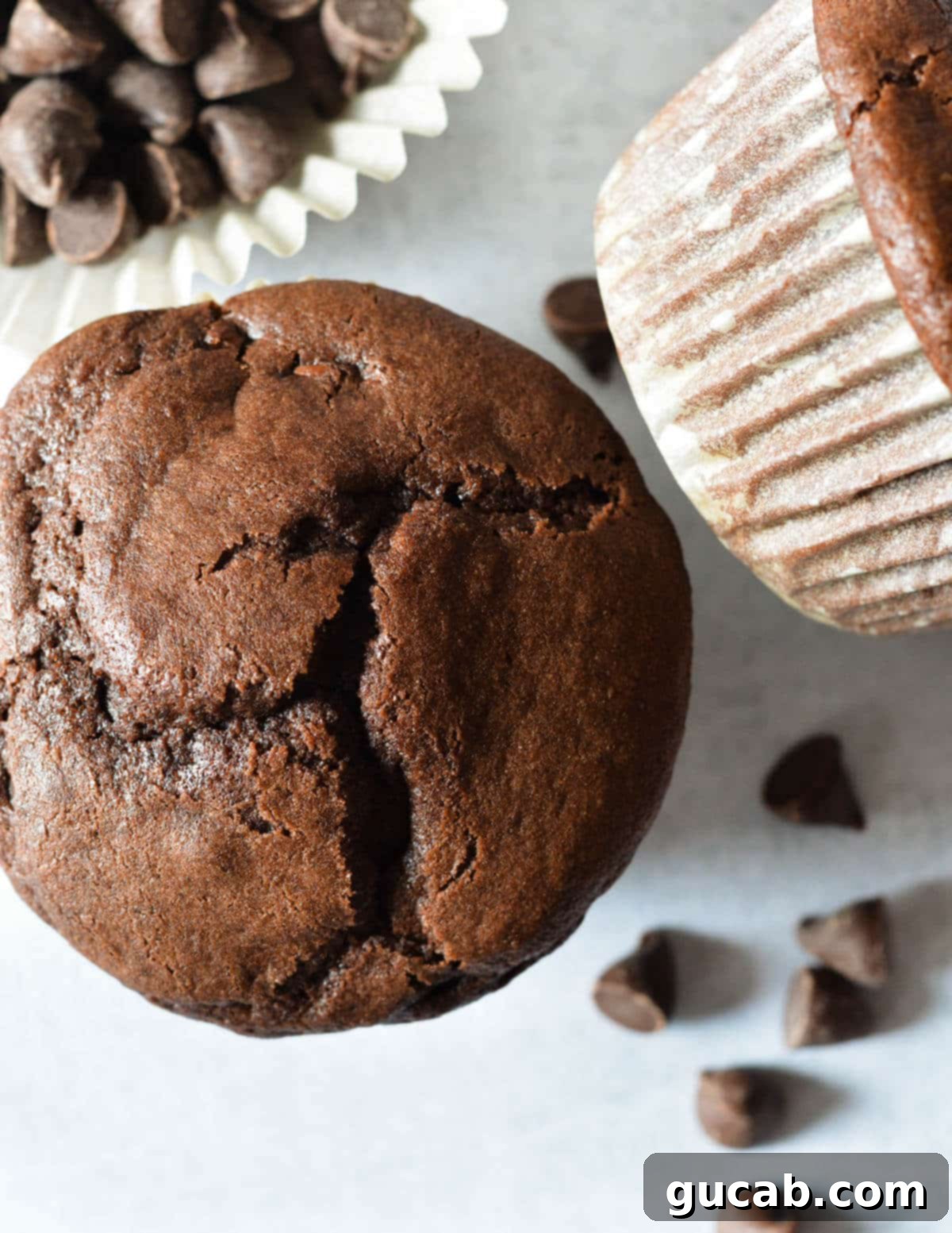 the top of a gluten free chocolate muffin. 