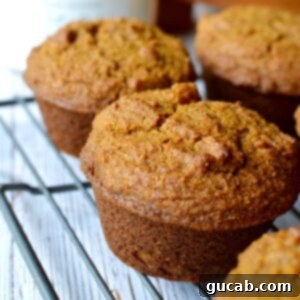 delicious pumpkin paleo muffins