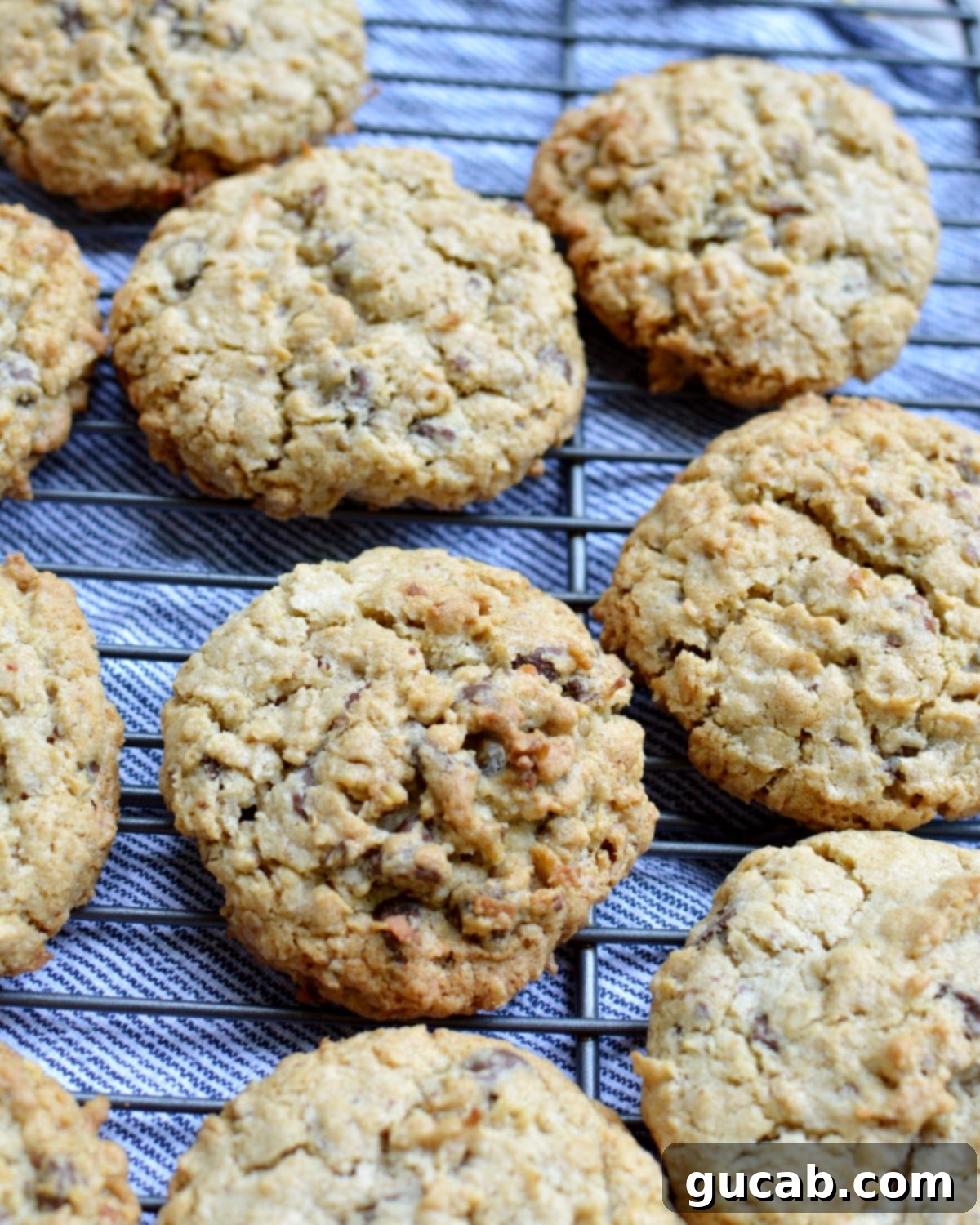 gluten free oatmeal cookies with a focus on their thick, chewy texture and rich mix-ins