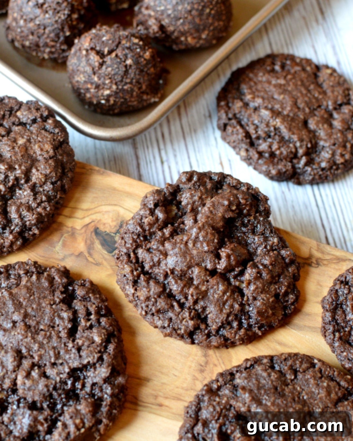 double chocolate oatmeal cookies, a stack of rich, chewy cookies