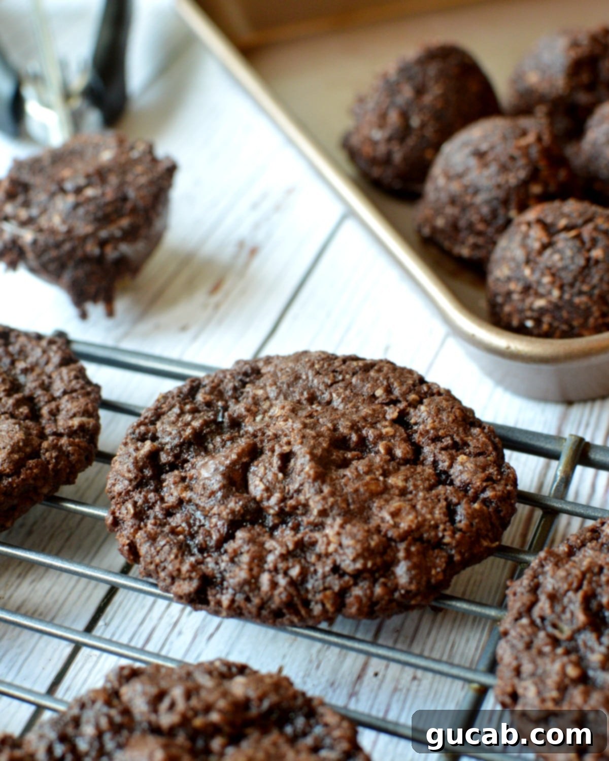 baked cocoa oatmeal cookies on a baking sheet