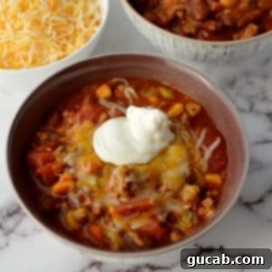 turkey chili recipe panera