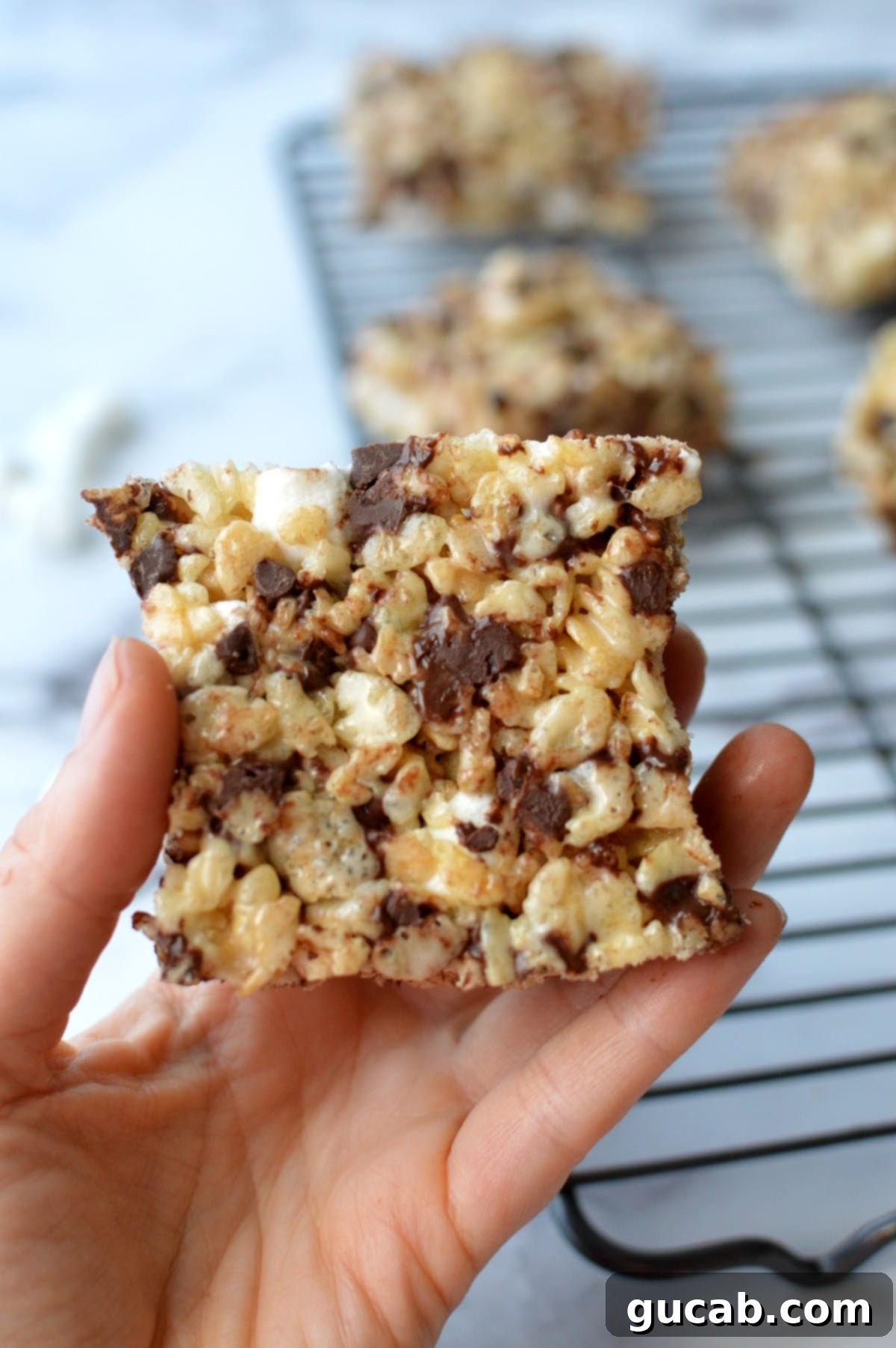 rice crispy treat with chocolate chips