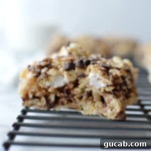 rice krispie treats with chocolate chips