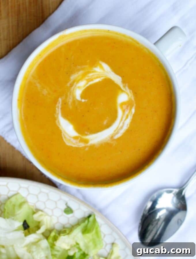 A bowl of butternut squash soup, garnished with a swirl of cream and fresh herbs, perfect for a cozy meal.