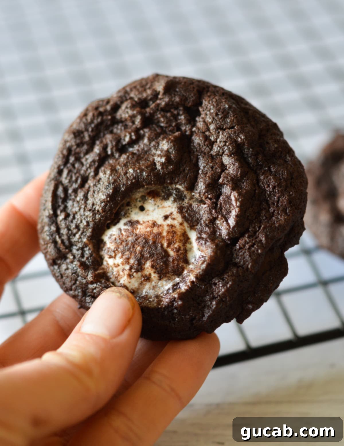 A hand presenting a freshly baked chocolate marshmallow cookie, inviting a bite.