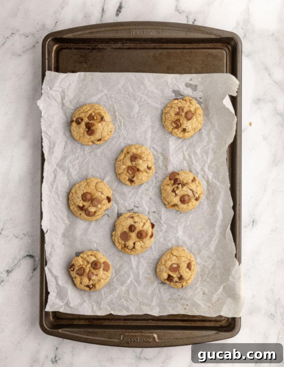 baked gluten free chocolate chip cookies on a sheet pan with parchment paper. 