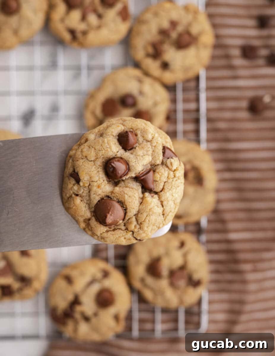 close up of a gluten free chocolate chip cookie on a spatula. 