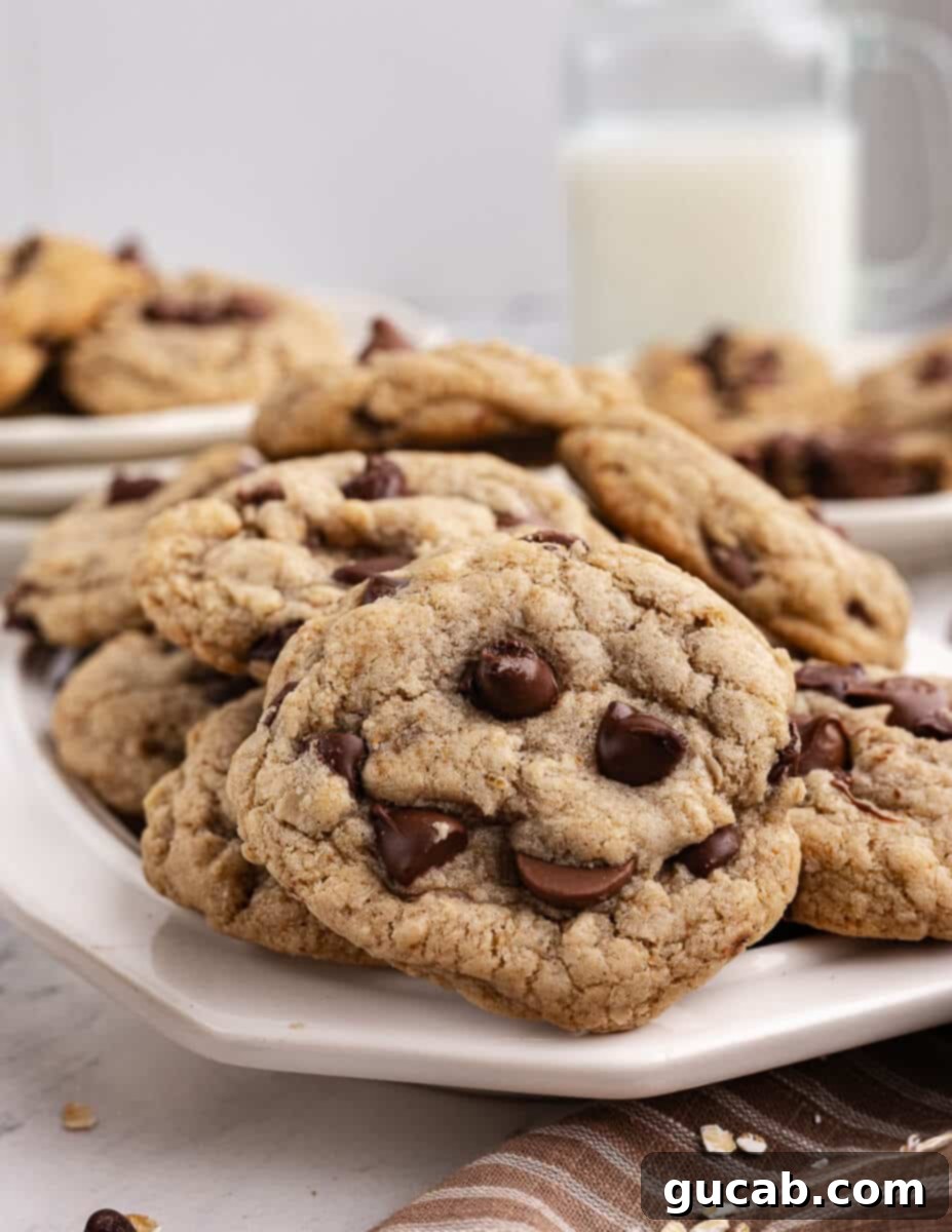 close up of a gluten free chocolate chip cookie on a plate. 