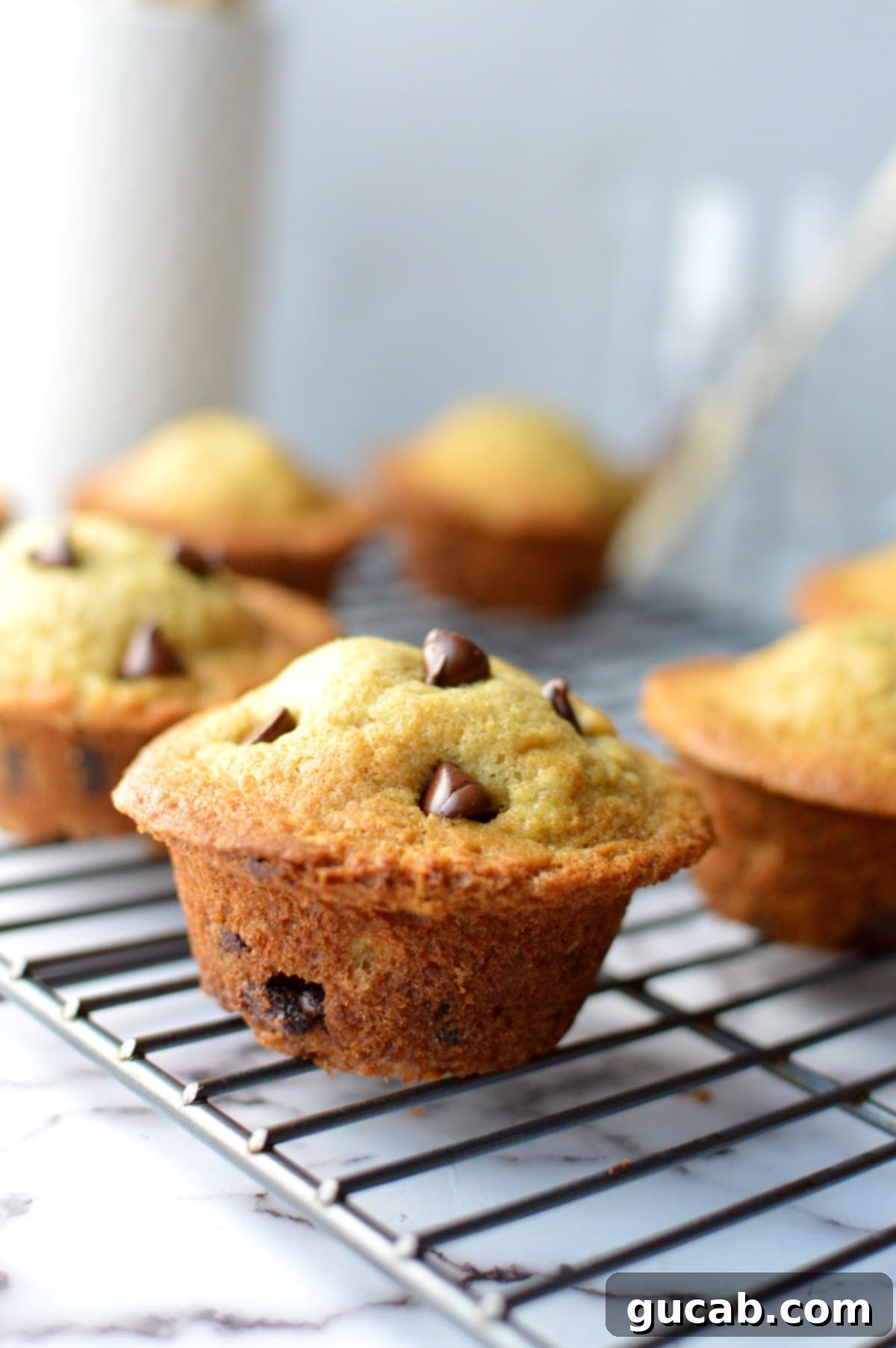 Delicious gluten-free banana chocolate chip muffins with big tops