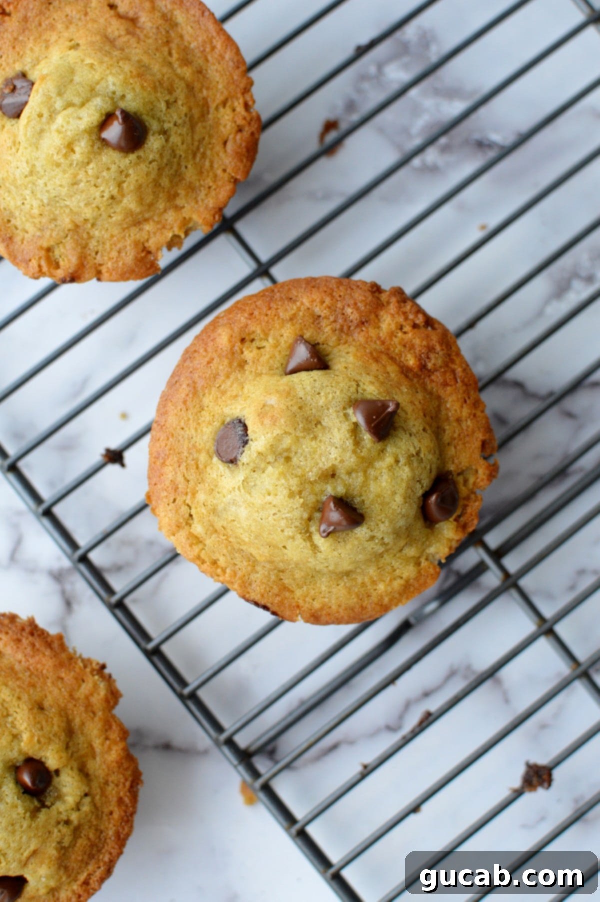 Close-up of a gluten-free muffin top with perfectly melted chocolate chips