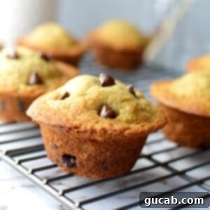 gluten free banana chocolate chip muffins