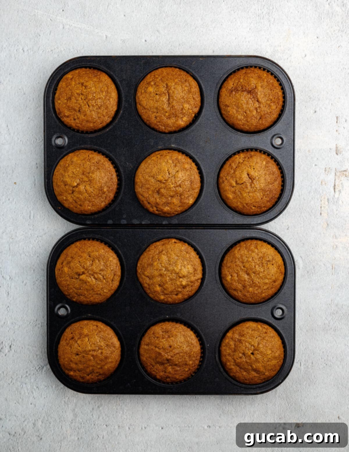 Golden Pumpkin Bliss: Gluten-Free Maple-Cinnamon Cupcakes 12 Freshly baked gluten-free pumpkin cupcakes, golden brown and risen, cooling in a muffin tin.