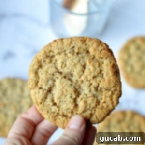 Almond flour oatmeal cookie