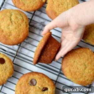 almond flour banana muffins, a top-down view