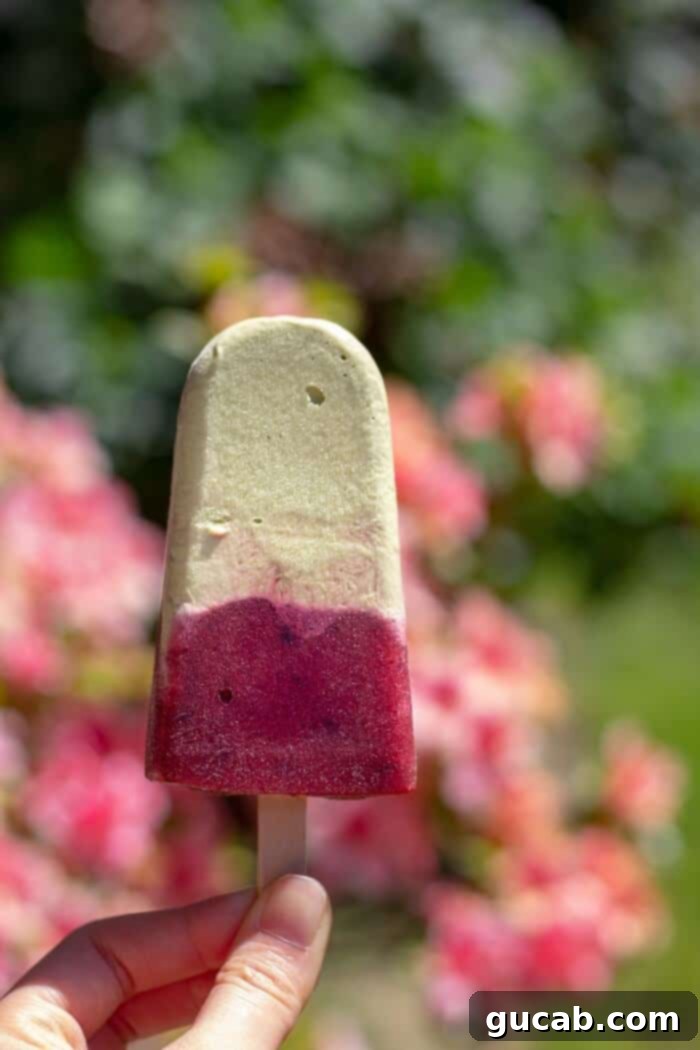 Refreshingly vibrant matcha popsicles, featuring a creamy green layer and a red cherry rose swirl.