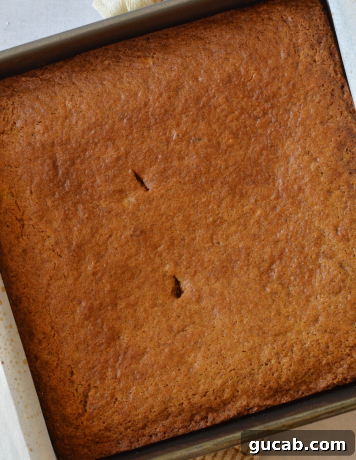 close up of gluten free gingerbread cake